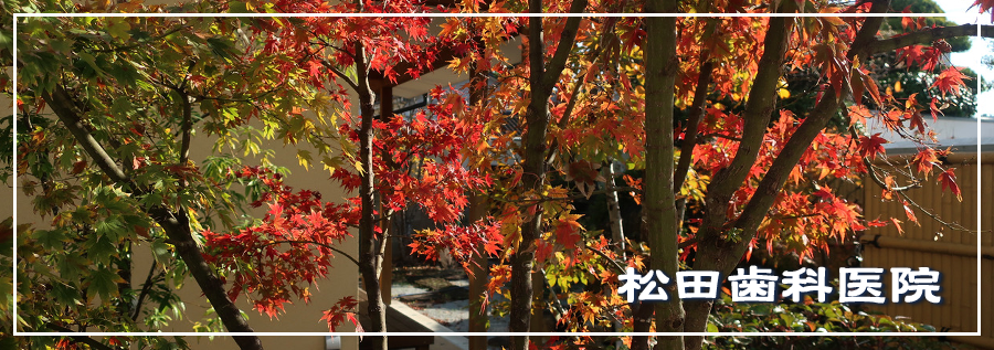 今月のトップページ画像