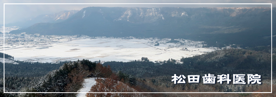 今月のトップページ画像